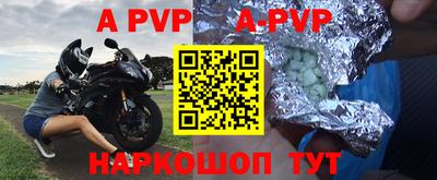 гашик Моздок