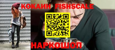 гашик Моздок
