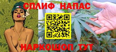 гашик Моздок