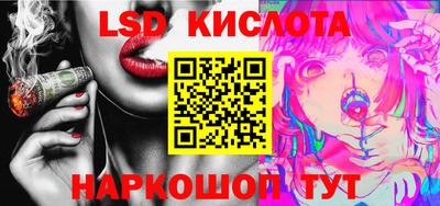 гашик Моздок