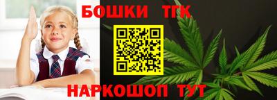 гашик Моздок