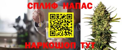 гашик Моздок