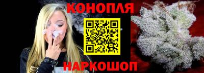 гашик Моздок