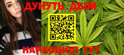 гашик Моздок