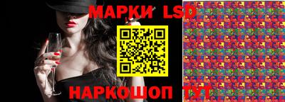 гашик Моздок