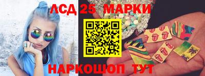гашик Моздок