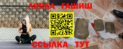 гашик Моздок