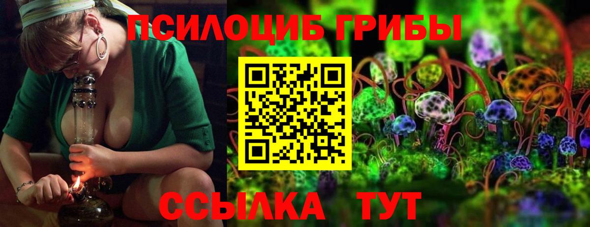 Свободный  Псилоцибиновые грибы Psilocybine cubensis  Вход с VPN  Галлюциногенные грибы мицелий 