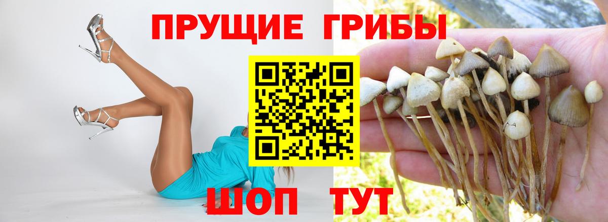 Псилоцибиновые грибы мухоморы Свободный
